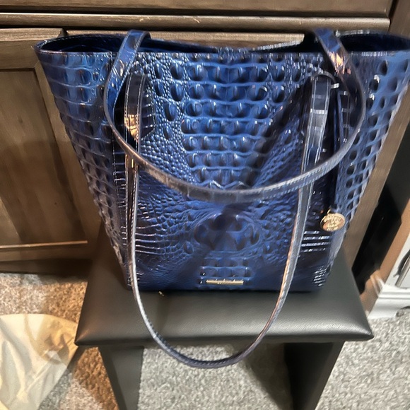 Brahmin Ezra - Picture 2 of 5